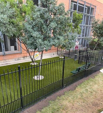 A wrought iron fence around a tree in front of a building